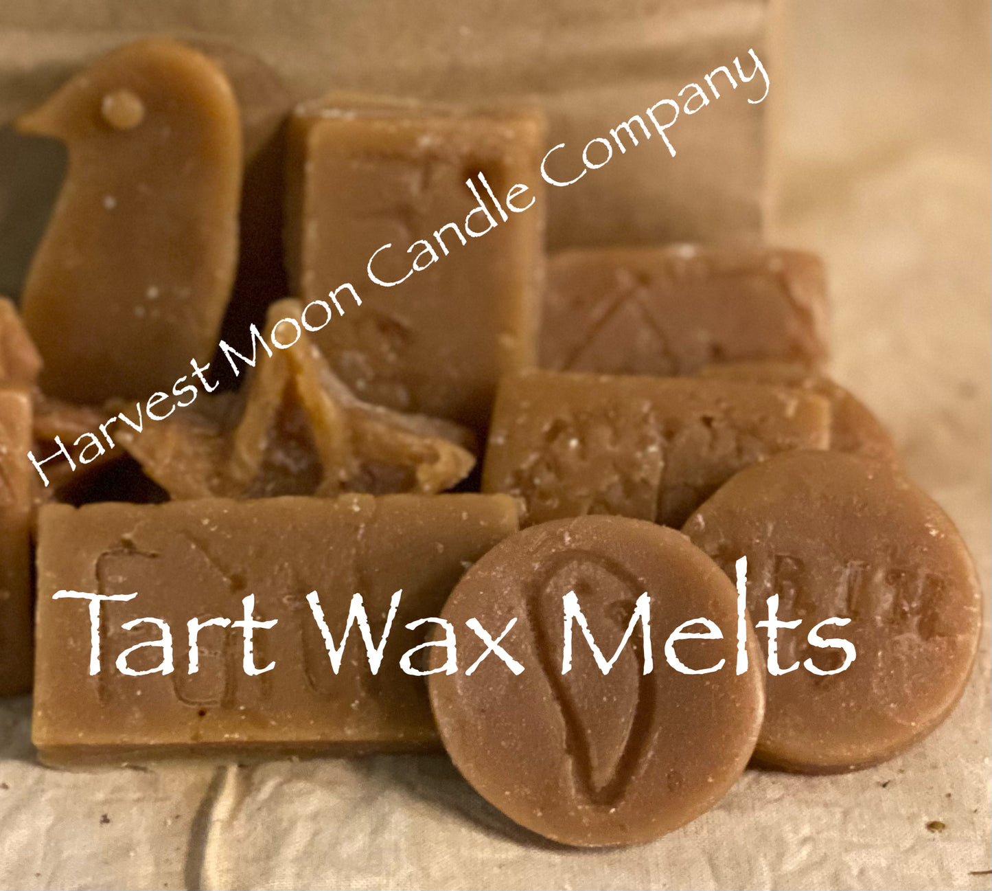 50pcs Wax Melts Prim Shapes